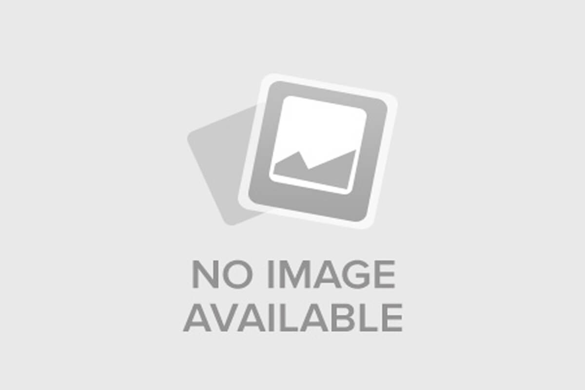 Мудрые парни (2025)